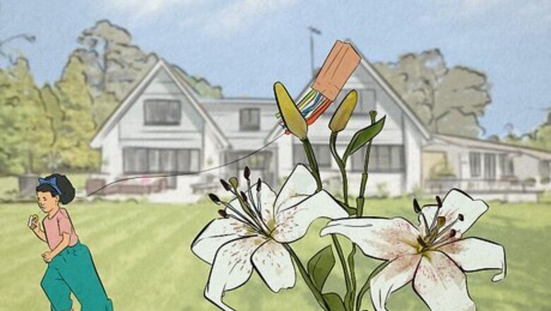 What Do Lily Colors Mean? Symbolism of the Elegant Flower