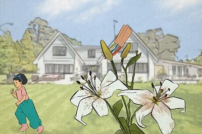 What Do Lily Colors Mean? Symbolism of the Elegant Flower