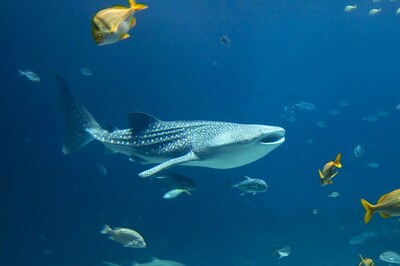 Check Out These Marine National Parks Along Indian Coastline