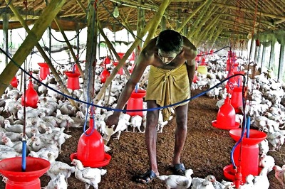 Poultry Farm Owner in Bihar Spits on Labourer’s Face, Asks Son To Urinate on Him