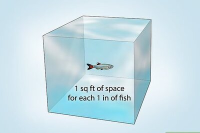 How to Build Your Own Fishing Pond