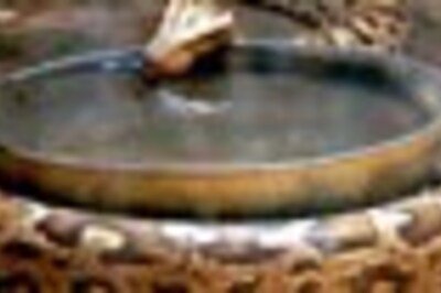 Man finds python almost twice his size in his toilet