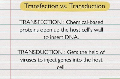 Explaining the Difference Between Transfection and Transduction
