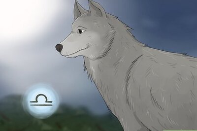 13 Spirit Animals That Represent Libra (and Why)