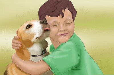 How to Decide Which Pet to Get for Your Kid