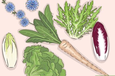 How to Eat Chicory Root and Leaves: Preparation and Storage Tips