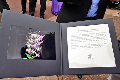 Dendrobrium Narendra Modi — Orchid Named After PM in Singapore