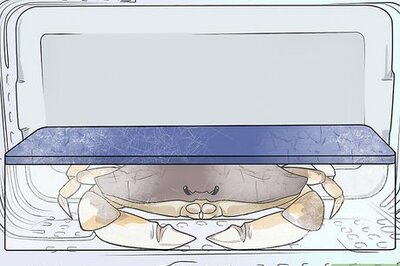 How to Cook a Crab
