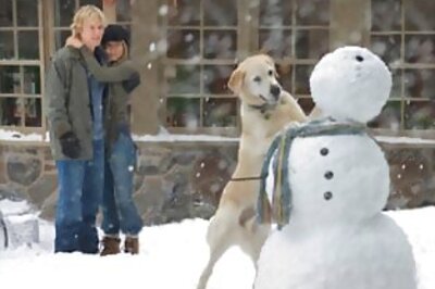 Winners of Masand movie review contest