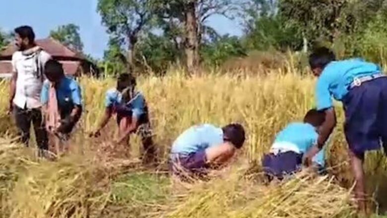 OPINION | Interim Budget: A Groundbreaking Commitment to Agriculture And Sanatan Dharma Values