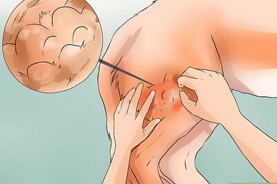 How to Diagnose Canine Cancer