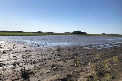 10 Districts Record 'Excess' Rainfall in Rajasthan, Heavy Downpour Predicted at Few Places