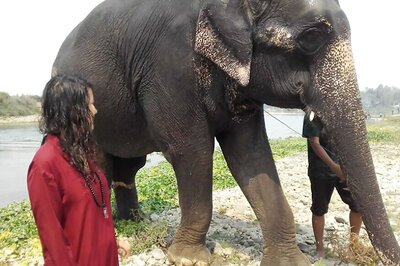 Nepal Shows the Way in Ethical Elephant Tourism