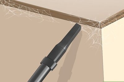 How to Get Rid of Black Widows