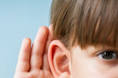 Will We Soon Be Able to Restore Hearing With a Drug?