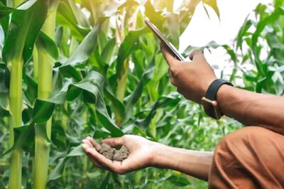 Meet Shivangi Saxena, The College Student Who Bagged 3 Medals In Agricultural Study From UP Governor