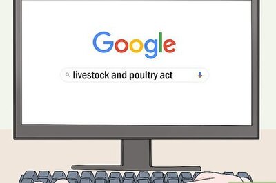 How to Raise Call Ducks