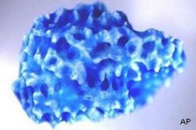 Scientists discover stem cells source