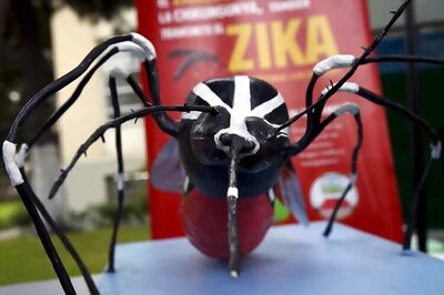 Experiments show link between Zika and foetal brain damage