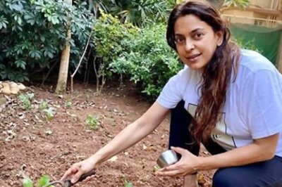 Lockdown Diaries: Juhi Chawla Turns Gardener
