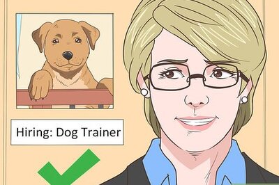 How to Work when You Have PTSD