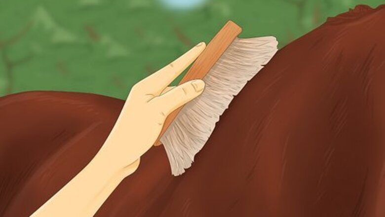 How to Saddle a Horse Western