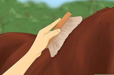 How to Saddle a Horse Western