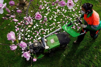 WHO Is Discussing When to Call an End to Pandemic: What Will World Look Like, How Will It Impact Us?