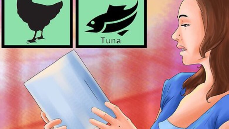 How to Choose Cat Food