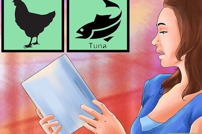 How to Choose Cat Food