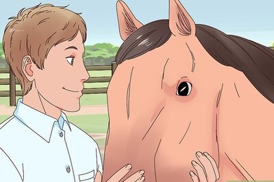 How to Teach a Horse to Bow Properly