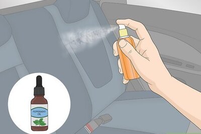 How to Remove Mice from Your Vehicle