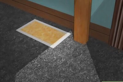 How to Get Rid of Wolf Spiders