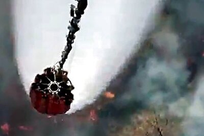 Sariska Fire Shrinks But With 'Burning' Queries on Climate Change, Status of Tigers: Read All Details