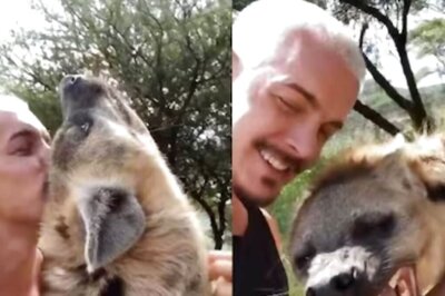 Watch: Wildlife Conservationist Plays And Cuddles With Hyena