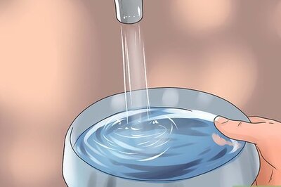 How to Give Your Budgie a Bath