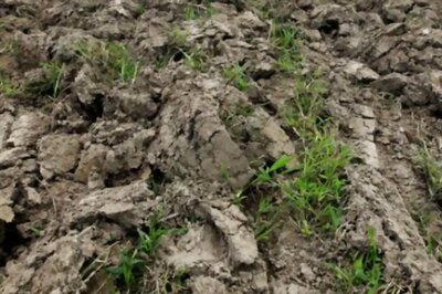 Two farmers commit suicide in Tamil Nadu