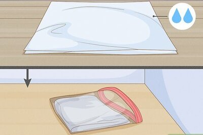 How to Easily Grow Chillies at Home from Seeds