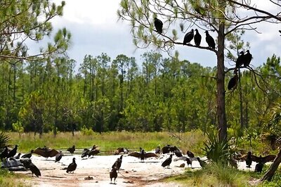 Judge Tosses Trump Rollback Of Clean Water Safeguards