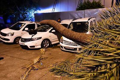 At least 19 Killed, 48 Injured Due to Dust Storm, Lightning in UP