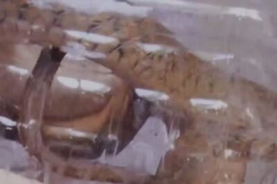 Man Bitten By Snake Arrives At Belagavi Hospital With Captured Reptile, Shocks Staff