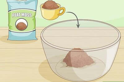How to Make African Violet Soil Mix