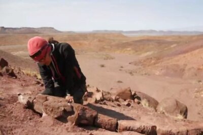 Palaeontologists Discover Fossil Of 280-million-year-old Apex Predator In Namibia