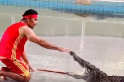 Stuntman Puts His Hand Inside Crocodile’s Mouth, And Then This Happened