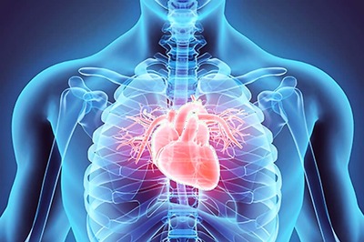 India Among 5 Countries With Highest Rheumatic Heart Disease Deaths