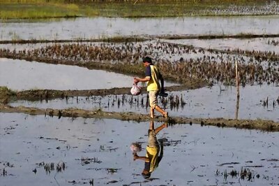 Narendra Modi's income insurance idea may not win over angry farmers
