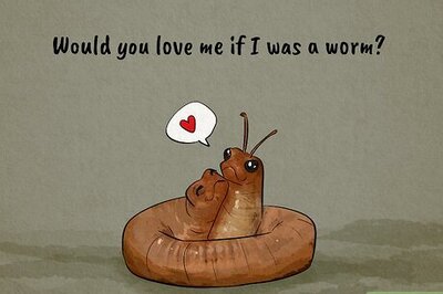 What is the Meaning of 