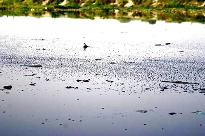 World Environment Day: Survey shows 99% Delhi residents feel Yamuna water not safe to drink