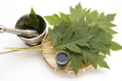 These Ayurvedic Home Remedies Might Help in Managing Dengue Fever