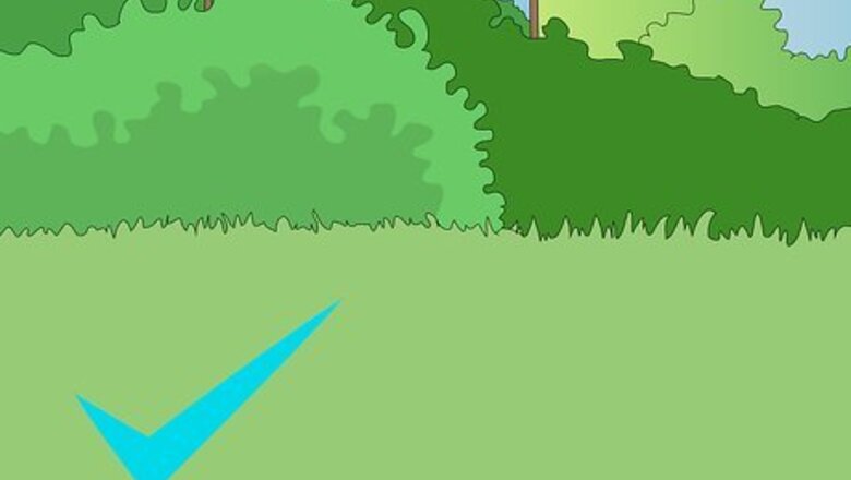 How to Choose Where to Plant Trees